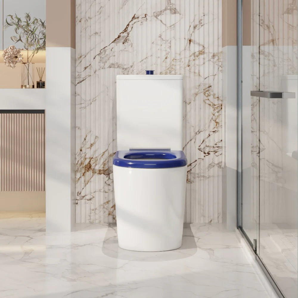 Mercio Pani Care-Accessible Rimless Flush Back to Wall Gloss White Toilet Suite