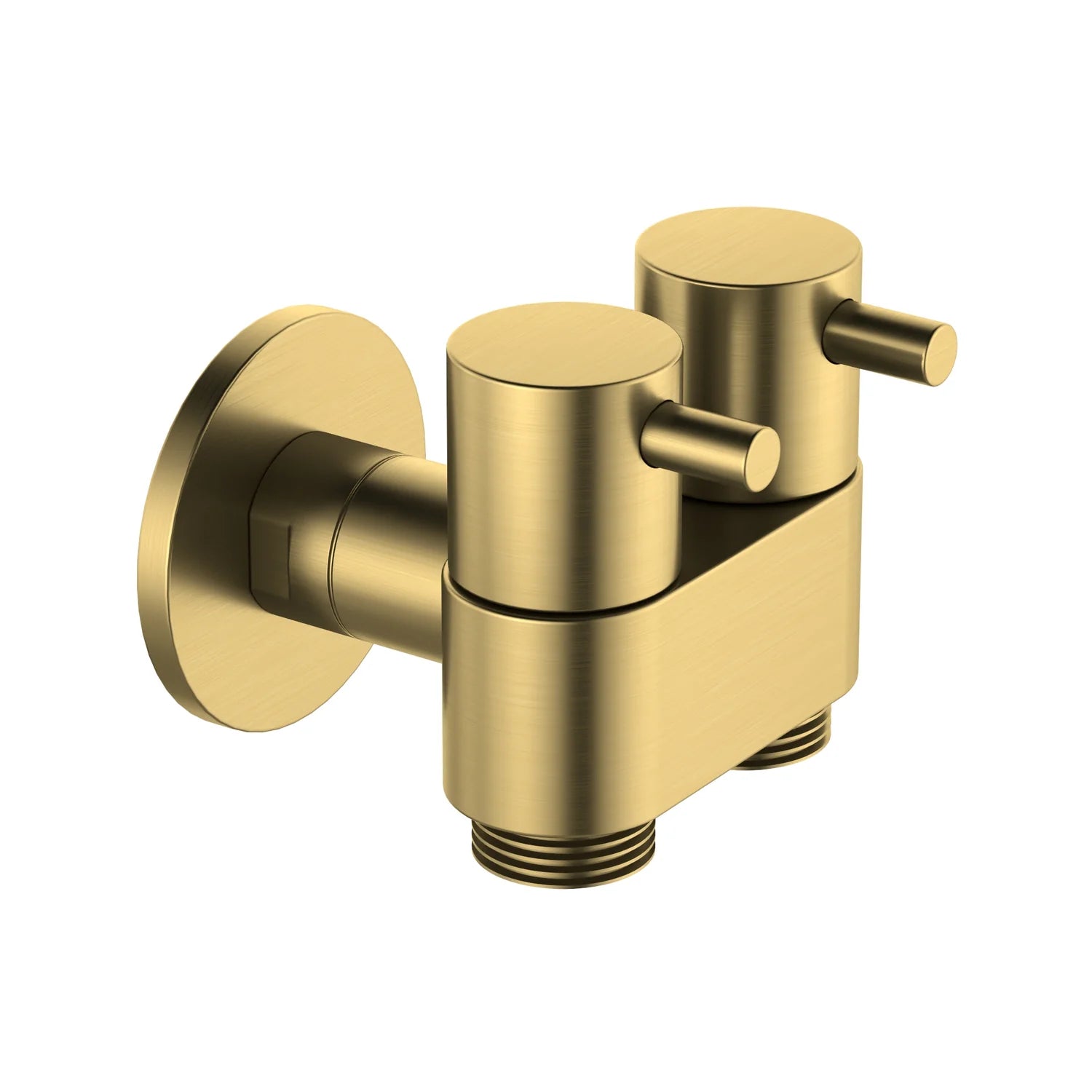 Amoza DN15 Dual Cistern Tap in Brushed Gold finish