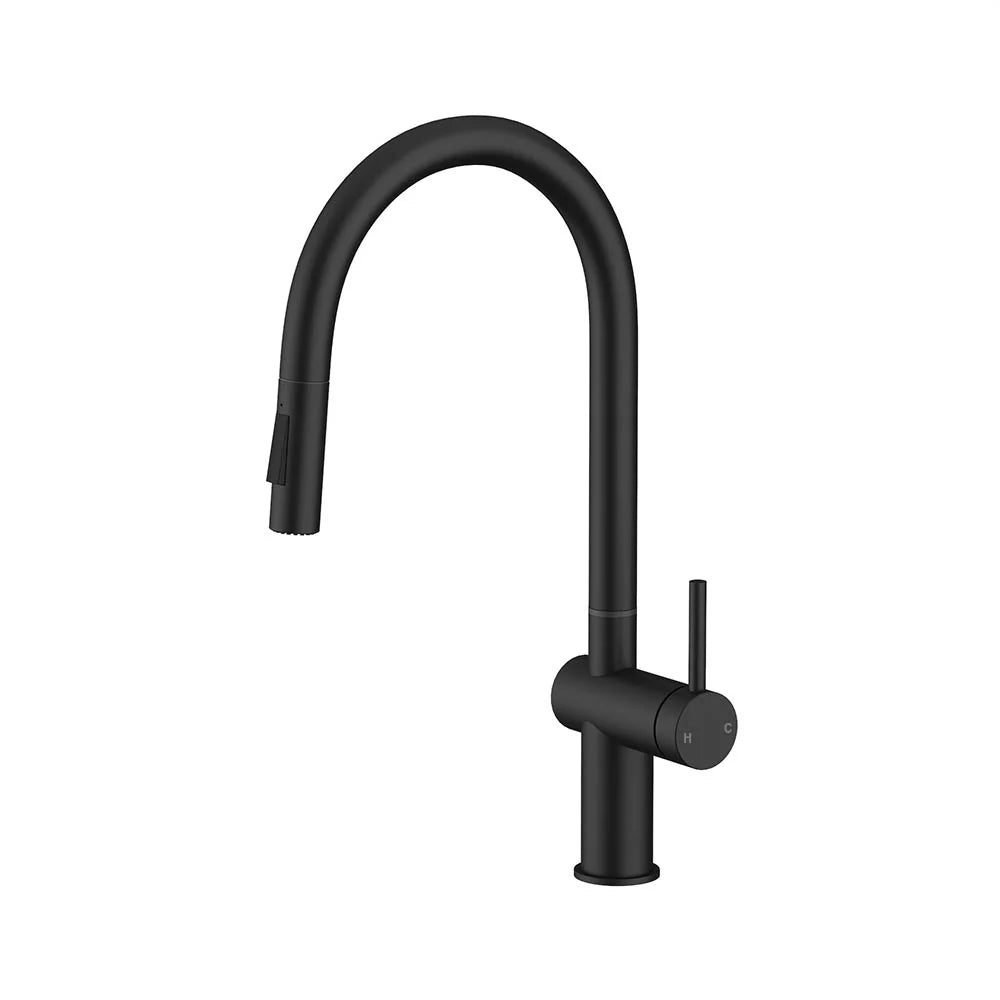 Matt Black AMOZA Pull-Out Kitchen Mixer Tap Dual Function on a white background